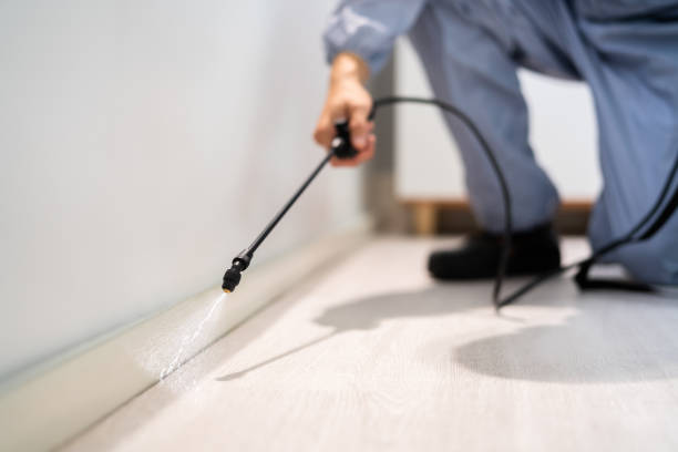 Licensed Ant Control service in Jackson, AL - Show Me Pest Control