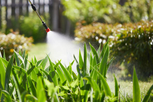 24/7 Emergency Ant Control experts in Jackson, AL