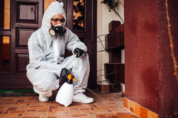 Reliable Ant Control contractor in Jackson, AL by Show Me Pest Control